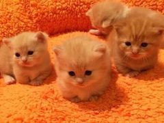 -星宿秘码(鼓浪屿老店)