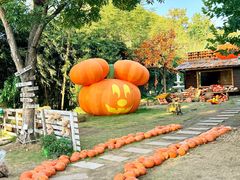 -HERRE·FARM 赫尔露营农场·团建聚会包场