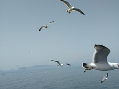 -仁川港国际客运码头