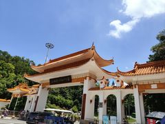 -深圳仙湖植物园