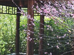 -苏州上方山国家森林公园