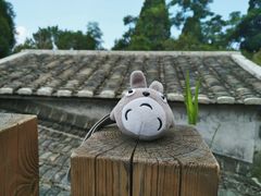 -鼓岭旅游度假区