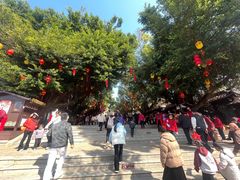 -莆田湄洲妈祖祖庙