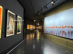 -罗红摄影艺术馆