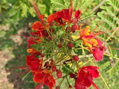 -廊坊文化艺术中心