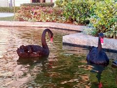 -南京圣和府邸豪华精选酒店