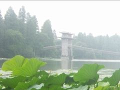 -东湖落雁景区