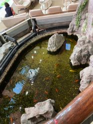 -五洲妇儿医院