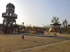 -上海长兴岛郊野公园