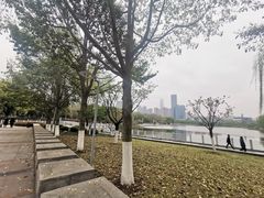 -后襄河公园