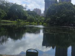 -晓港公园