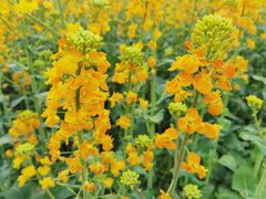 -中国天府农业博览园