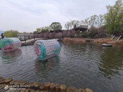 -青龙湖公园