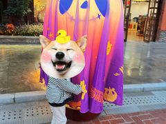 -郑州方特梦幻王国