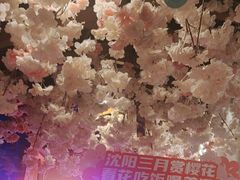 -三月居酒屋(青年大街店)