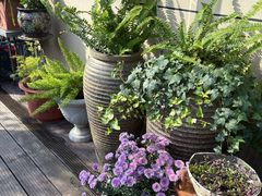 -留香花园(淮海街商业街店)