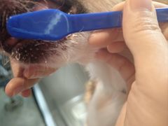 -PETKIT小佩宠物·低压洗护(国顺东路店)