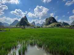 -明仕田园