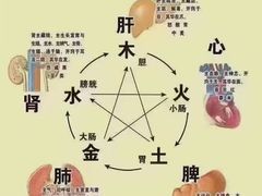 -裕和堂中医推拿艾灸(太古汇臻品店)