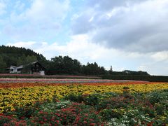 -富田农场