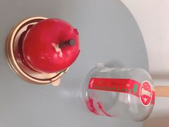 -GANSO元祖食品(锦创书城店)