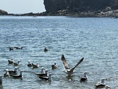 -大连中远海运洲际酒店