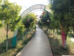-紫颐香薰山谷景区