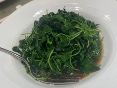 -新花城蟹粉馆(乌鲁木齐店)