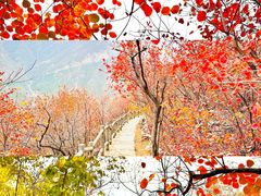-周口店坡峰岭风景区