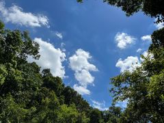 -南海湾森林生态园
