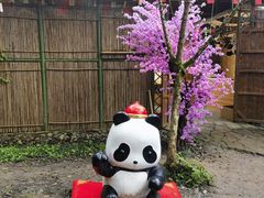 -都江堰中华大熊猫苑