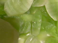 -索菲特西湖大酒店·香榭丽全日候餐厅(南山路店)