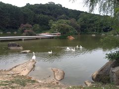 -厦门悦华酒店