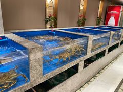 -帝皇海海鲜豆捞(桐泾商务广场店)