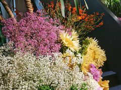 -春暖花开(西溪店)