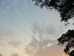 -太原动物园
