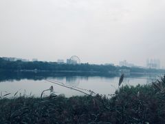 -南宁南湖公园