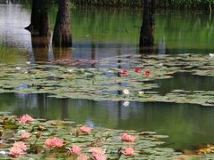 -白鹭湾湿地公园