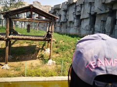 -石家庄市动物园