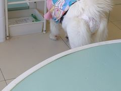 -怪兽屋·羊驼·猫咖·狗咖(俊华广场店)