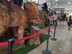 -自贡恐龙博物馆