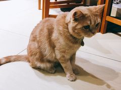 -小时光咖啡馆(开森度假森林店)