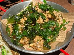 九层塔海蛎-Night Breeze晚风