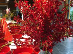 芥蓝墨鱼丸-怀来印象