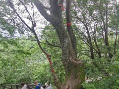 -终南山南五台景区