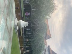 -三亚海棠湾万丽度假酒店