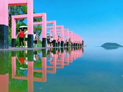 -漳州滨海火山岛自然生态风景区