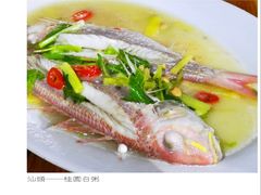 清蒸红杉鱼-桂园白粥·潮汕老味道
