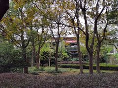 -长广溪湿地公园