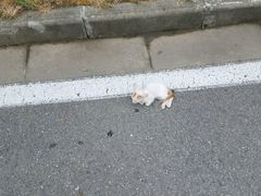 -悬壶盲人推拿按摩中心(洪武北路店)